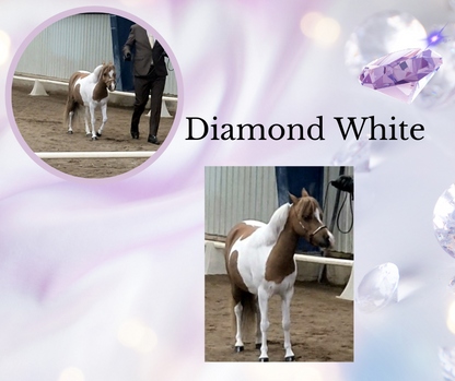 Hurlford Diamond White Rinse